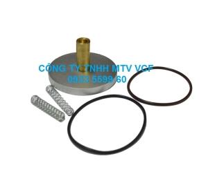 MINIMIM VALVE KIT 250018-262